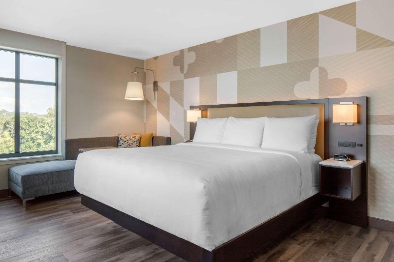 Standaardkamer met Kingsize Bed, Cambria Hotel College Park