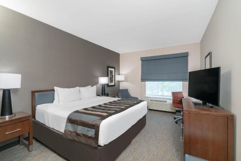 اتاق استاندارد با تخت بزرگ, Hampton Inn Nashville Airport Century Place, Tn