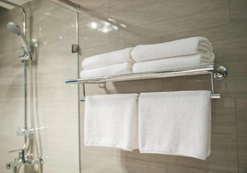 اتاق استاندارد با تخت بزرگ برای معلولان, Hampton Inn Nashville Airport Century Place, Tn