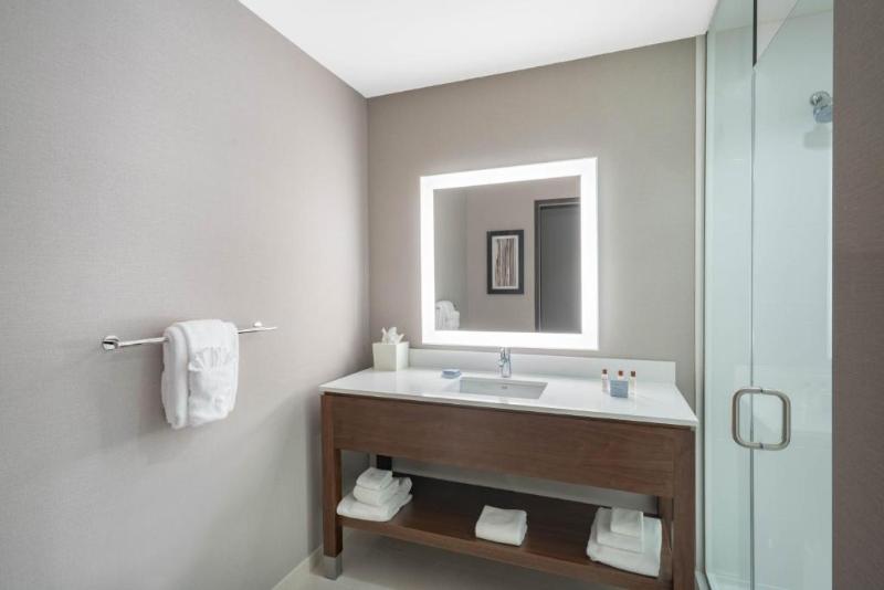 سوئیت با تخت بزرگ, Hampton Inn Nashville Airport Century Place, Tn