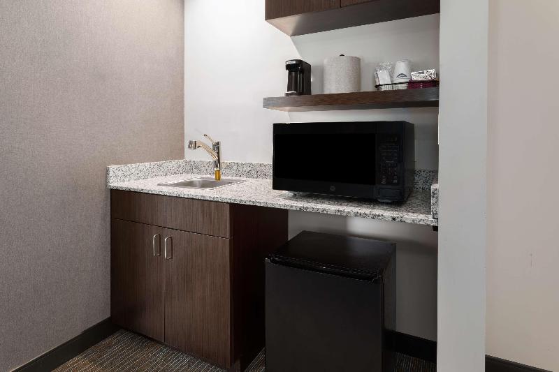 سوئیت با تخت بزرگ, Hampton Inn Nashville Airport Century Place, Tn