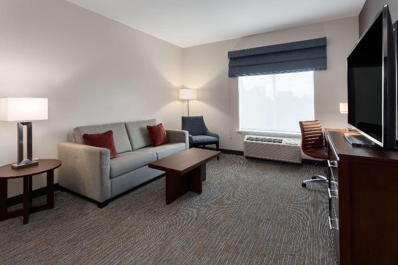 سوئیت با تخت بزرگ, Hampton Inn Nashville Airport Century Place, Tn