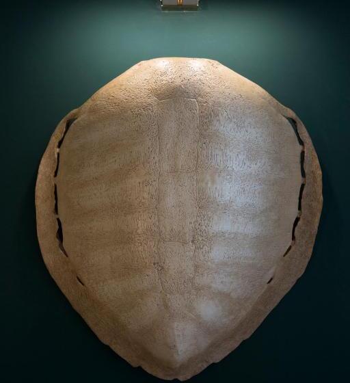 Номер Deluxe, Palazzo Presta