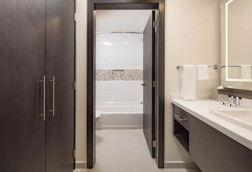 إستوديو قياسى, Staybridge Suites   Saltillo, An Ihg