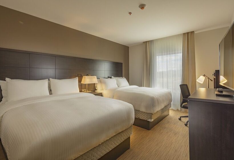 スイート, Staybridge Suites   Saltillo, An Ihg