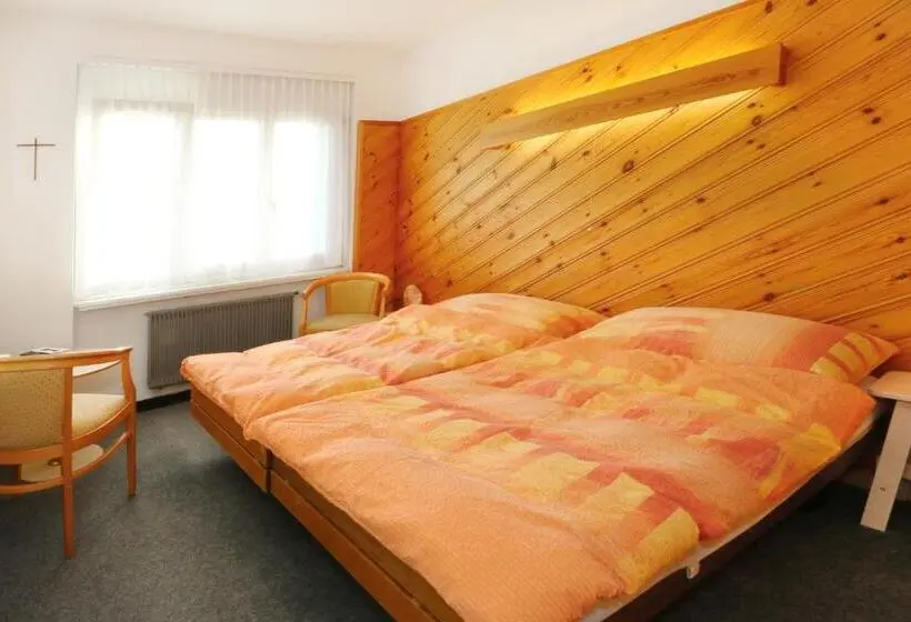 バス共有のスタンダードルーム, Allegro Alpin Lodge