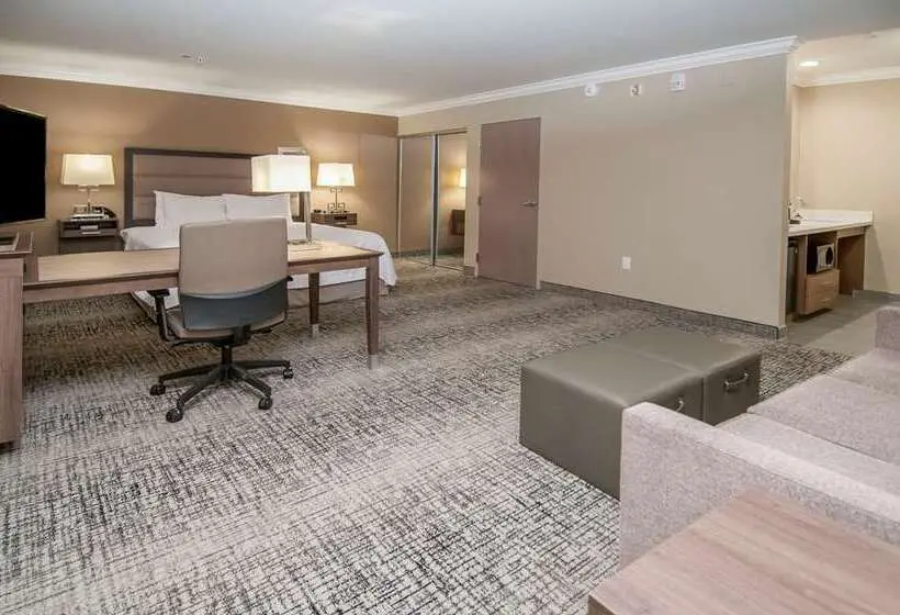 キングサイズベッドのスタンダードルーム, Hampton Inn & Suites Asheville Biltmore Area