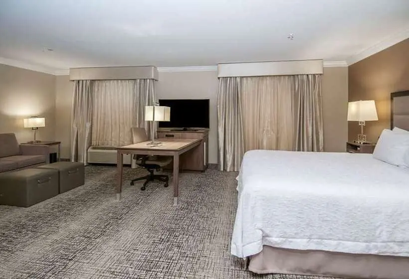 キングサイズベッドのスタンダードルーム, Hampton Inn & Suites Asheville Biltmore Area
