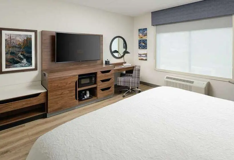 身障者適用スタンダードルーム, Hampton Inn & Suites Asheville Biltmore Area