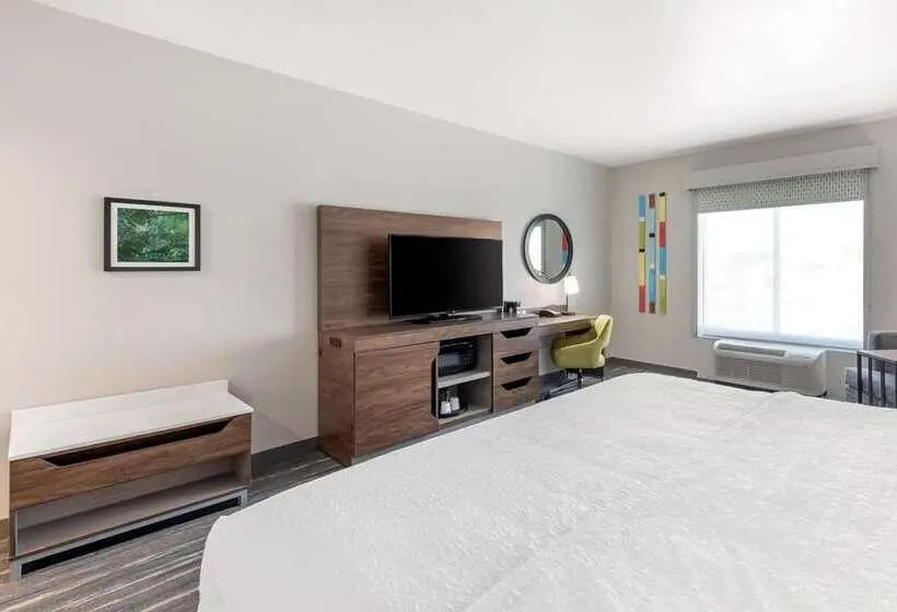 身障者適用スタンダードルーム, Hampton Inn & Suites Asheville Biltmore Area