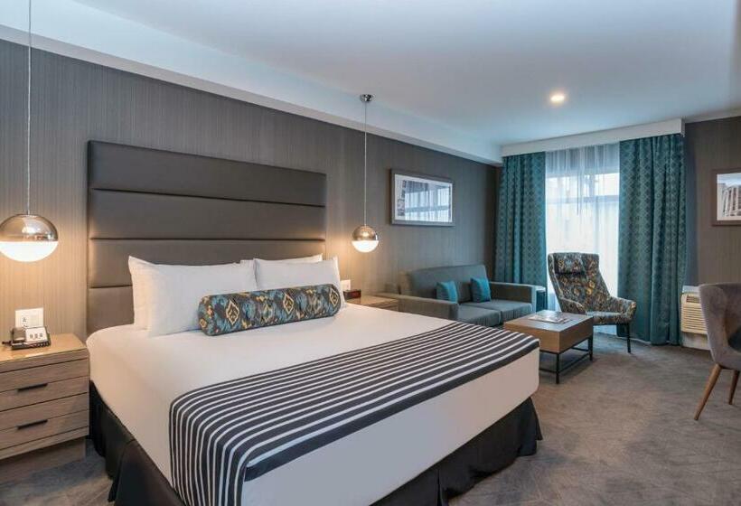 스탠다드 스튜디오 킹침대, Sandman Signature Calgary Airport