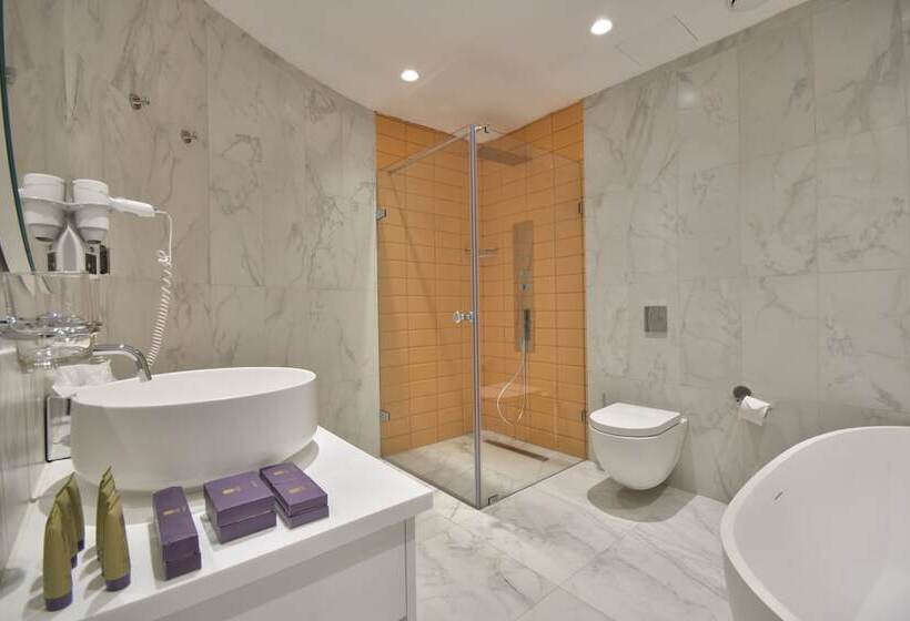 سوییت اجرایی, Holm Boutique & Spa Ik Collection