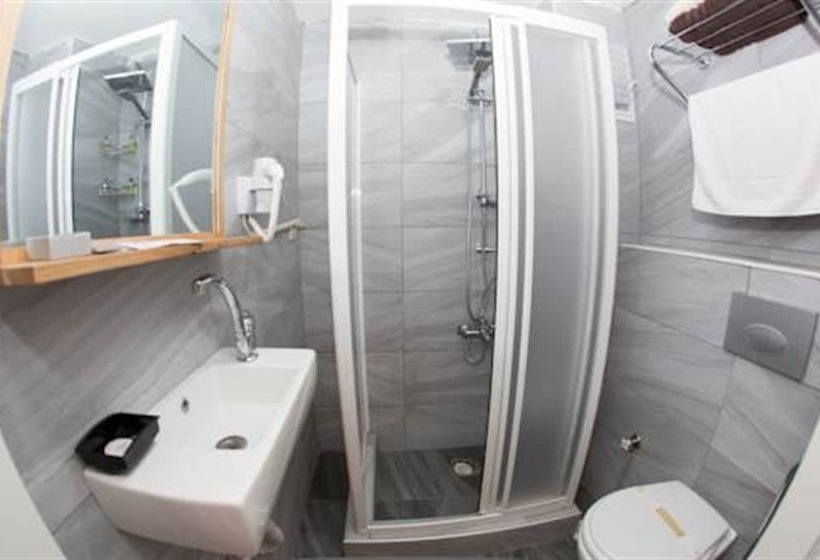 اتاق استاندارد سه نفره, Hot Budget