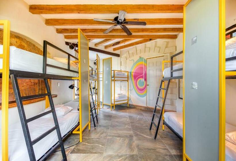 Кровать в Общей Комнате, Selina Puerto Escondido