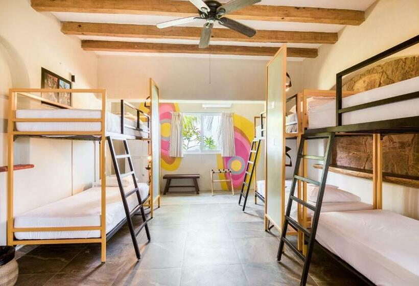 Кровать в Общей Комнате, Selina Puerto Escondido