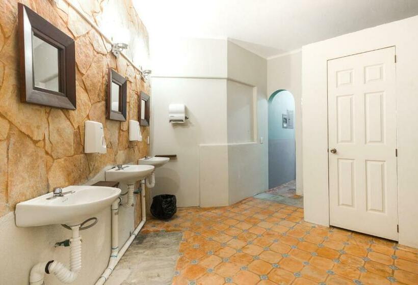 Кровать в Общей Комнате, Selina Puerto Escondido