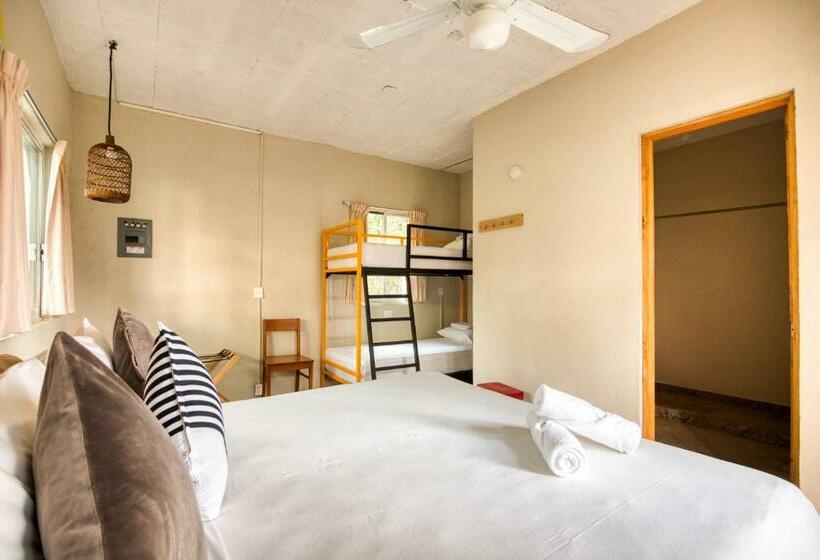 Кровать в Общей Комнате, Selina Puerto Escondido