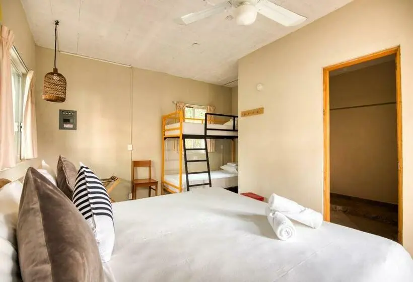 اتاق استاندارد چهار تخته, Selina Puerto Escondido