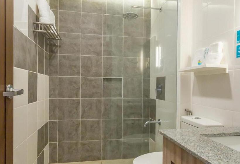 اتاق استاندارد, Microtel Inn & Suites By Wyndham San Fernando