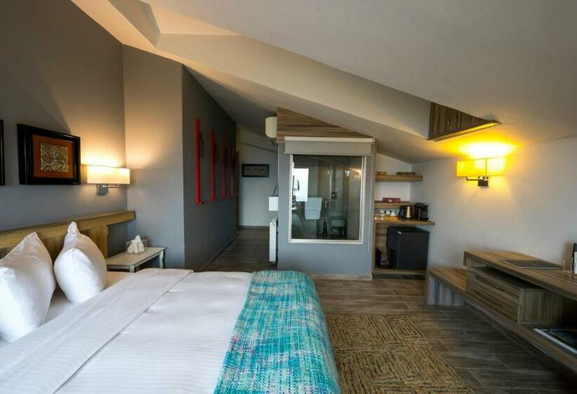 اتاق استاندارد, Urban Faqra