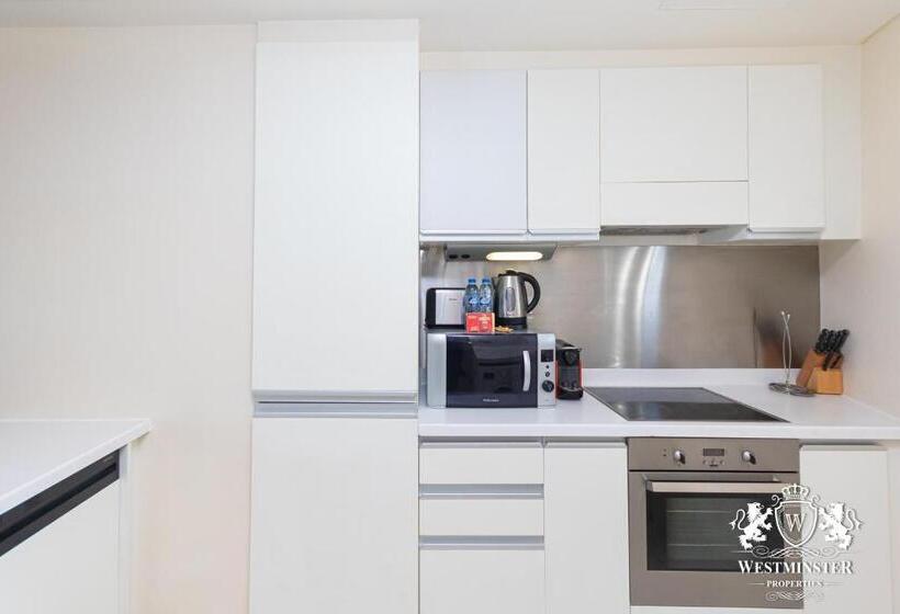 آپارتمان 1 خوابه, The Dubai Mall Residences