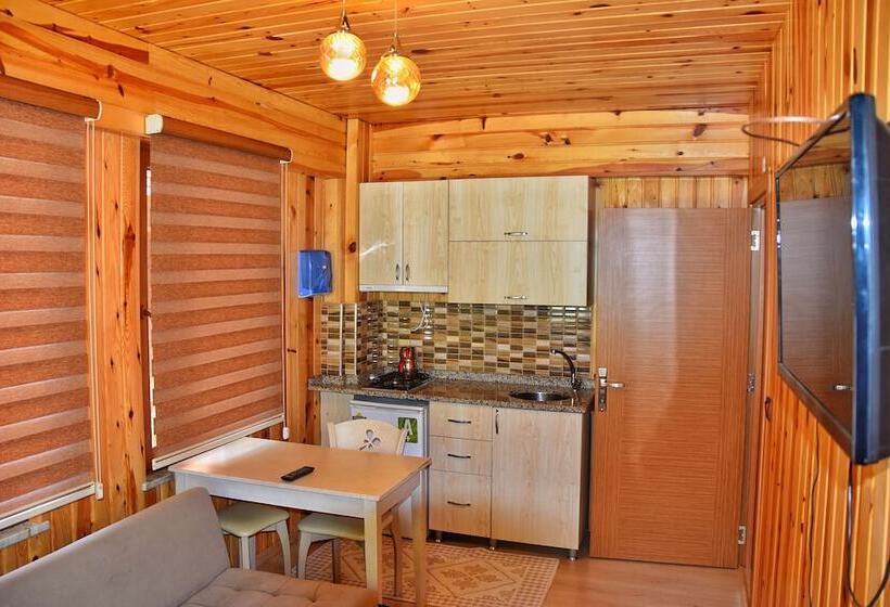 شقة ديلوكس غرفة واحدة, Scala Otel