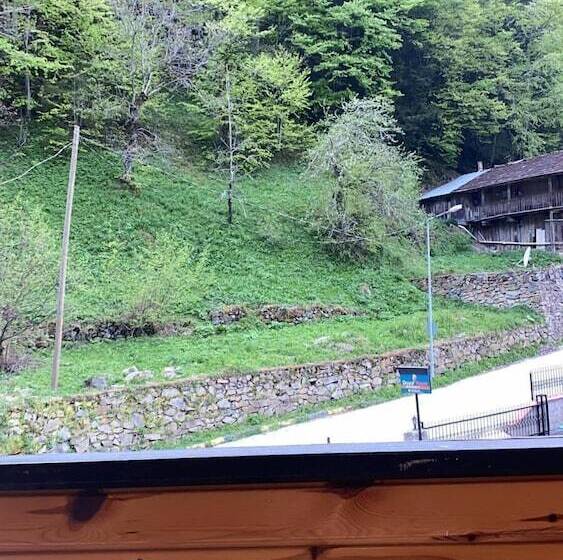 شقة غرفة واحدة, Scala Otel