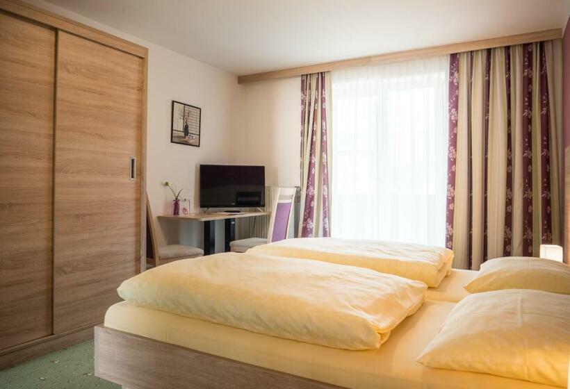 标准间, Pension Gstrein