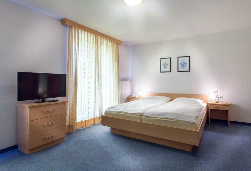 标准间, Pension Gstrein