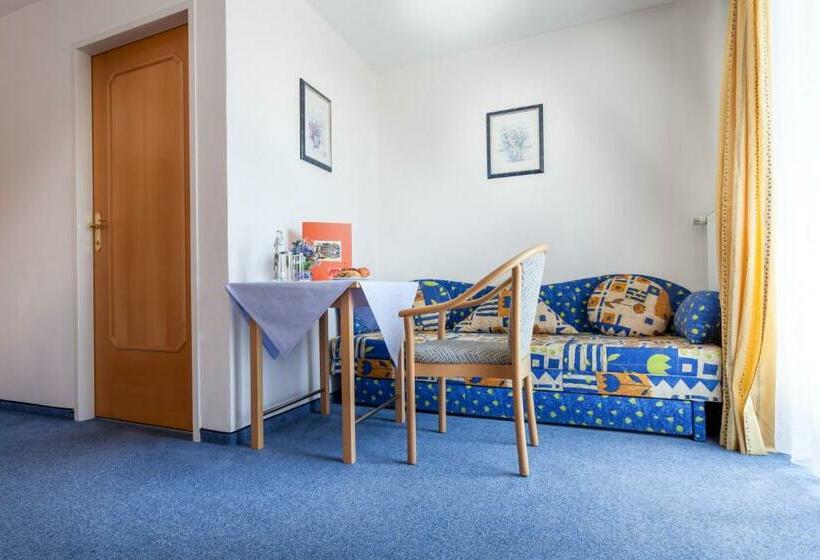 标准间, Pension Gstrein