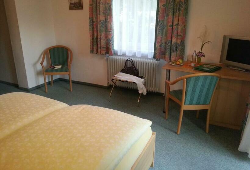 标准间, Pension Gstrein