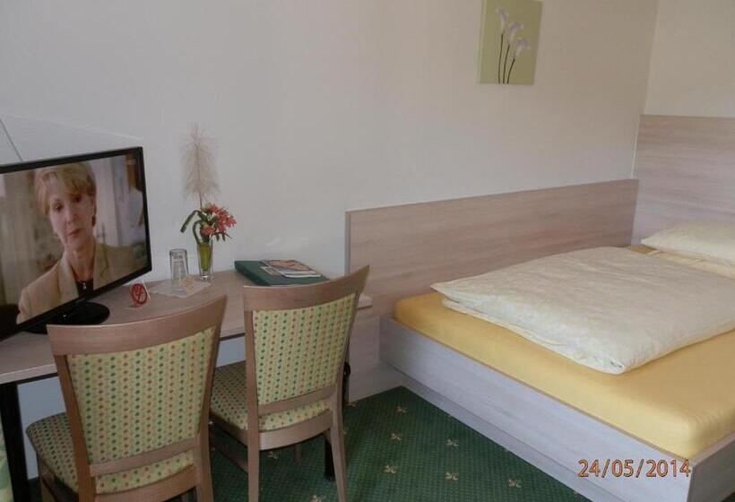 标准单人间, Pension Gstrein