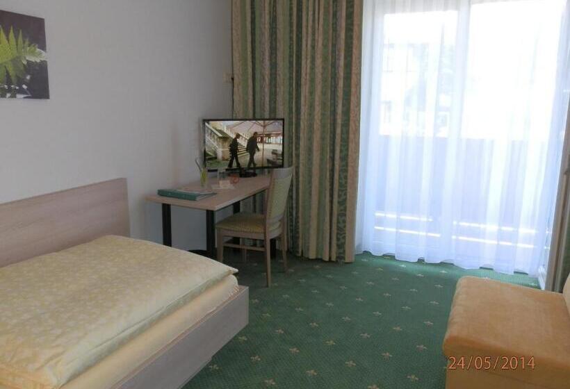 标准单人间, Pension Gstrein