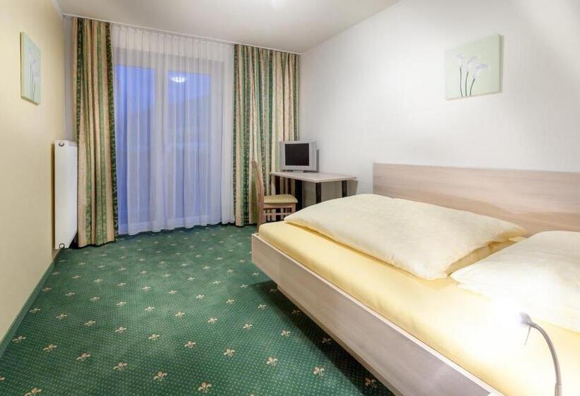 标准单人间, Pension Gstrein