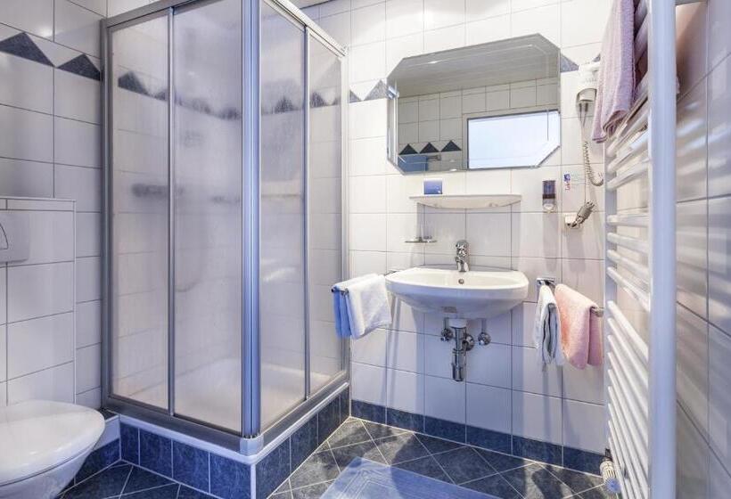 经济房, Pension Gstrein