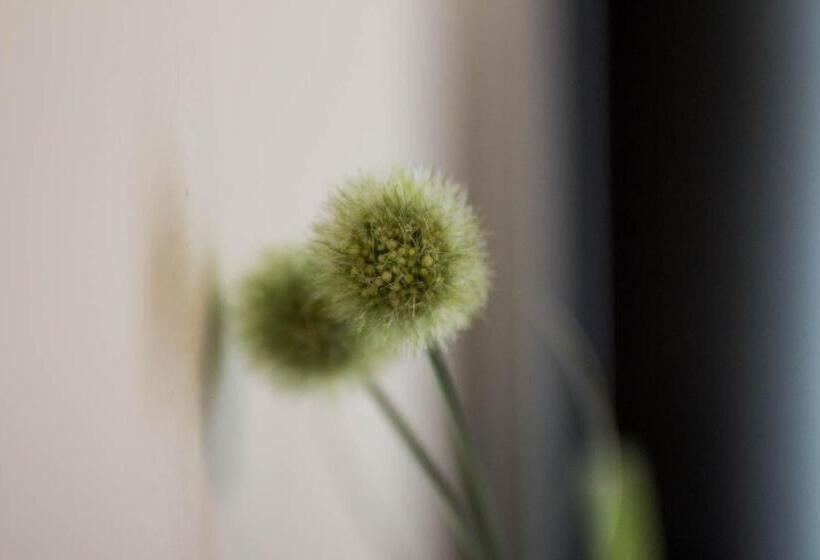 经济房, Pension Gstrein