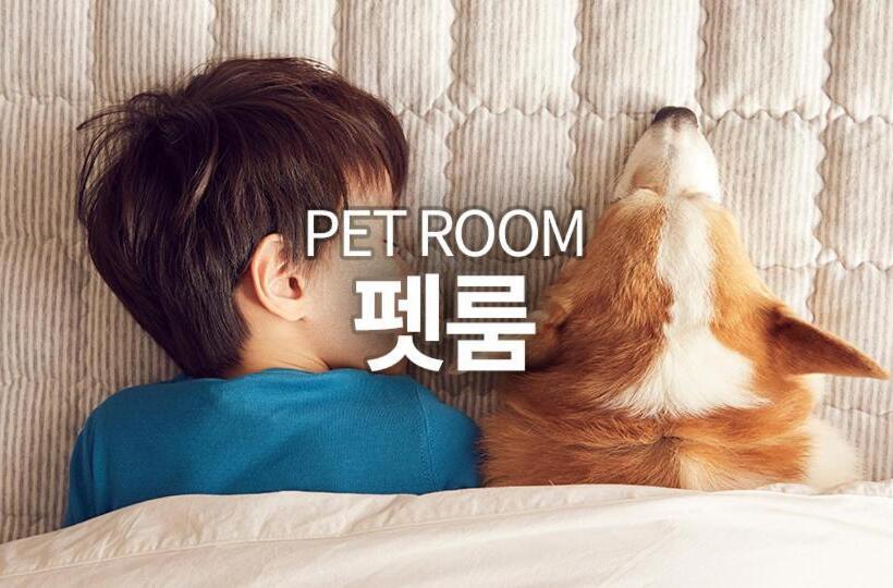 ジュニアスイート, Pyeongchang The White