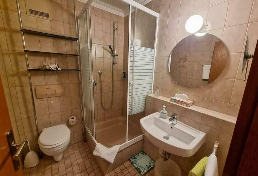 Номер Стандарт Вид на Горы, Parkhotel Ruhpolding