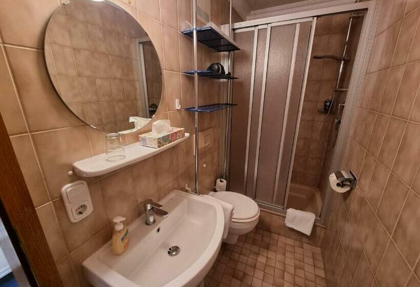 Номер Стандарт Индивидуальный, Parkhotel Ruhpolding