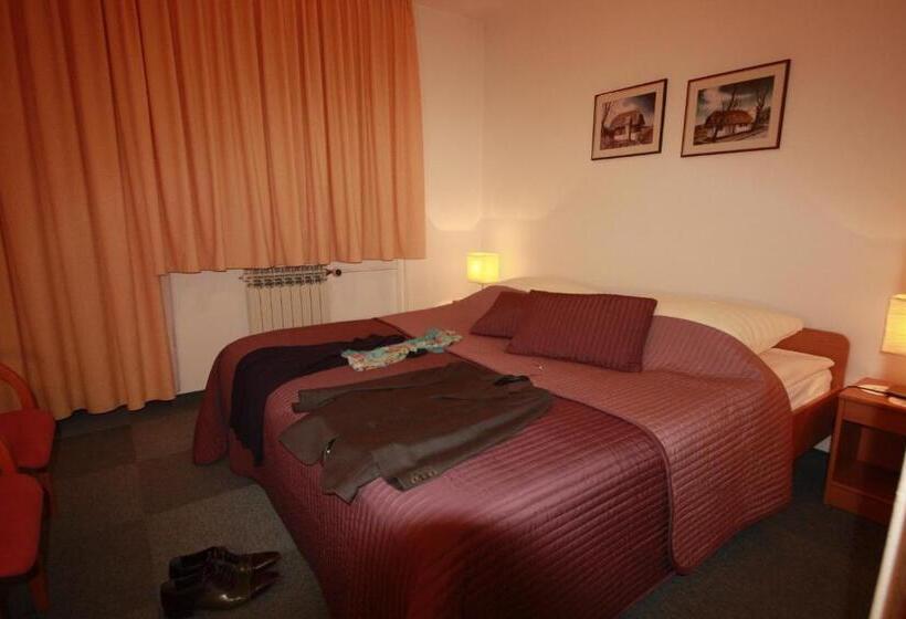 带大床的标准间, Vila Romana