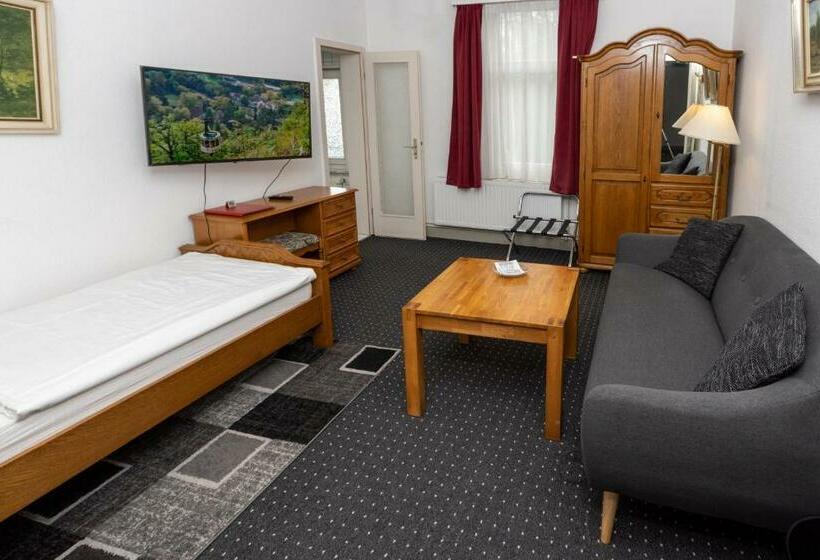 スタンダードシングルルーム, Villa Feise