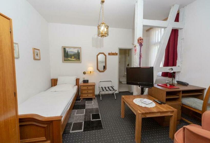 スタンダードシングルルーム, Villa Feise