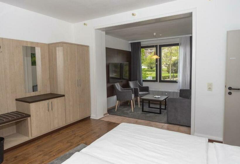 デラックスルーム, Villa Feise