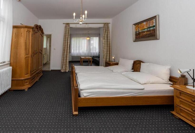 スタンダードルーム, Villa Feise