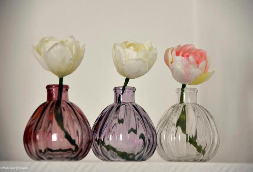 스탠다드 룸, Domaine Borgnat