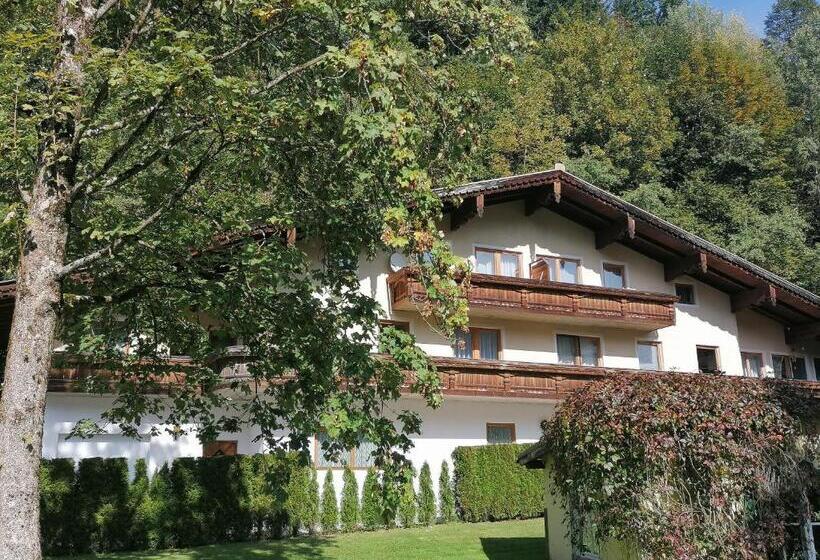 Апартаменты 1 Спальня с Видом, Heilbad Burgwies