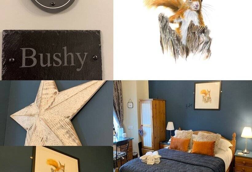 标准间, Hillsdale B&b In Ambleside