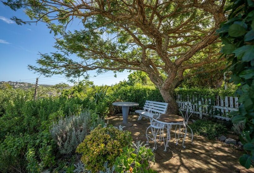 استودیوی استاندارد, The Lookout Guest House