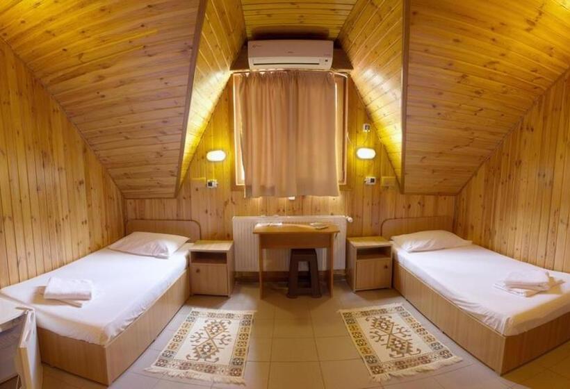 اتاق استاندارد با سرویس بهداشتی مشترک, Pensiunea Casa Verde Bucuresti