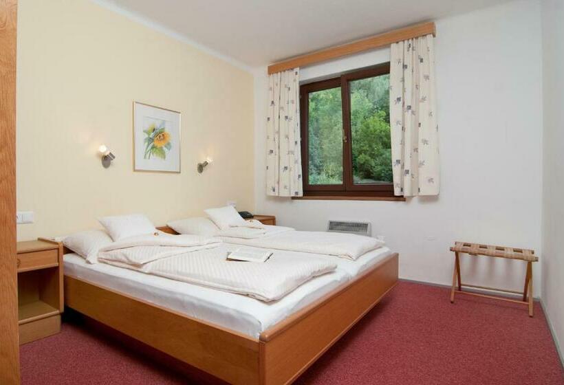 带2个卧室的公寓, Schützenhof